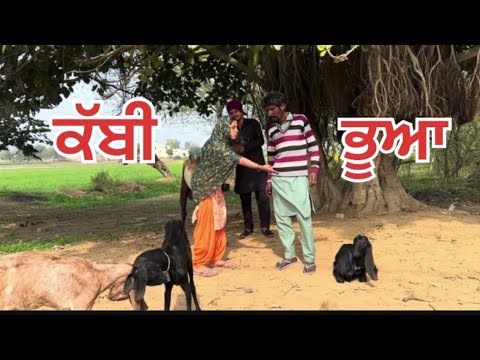 ਕੱਬੀ ਭੂਆ ||#punjabishotmovie #viralvideo #comedymove #funny #comedy @Guribebe