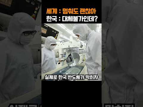 삼성이 공급 멈추자 미국 테슬라까지 멈춰버린 한국 기술 철학 레전드