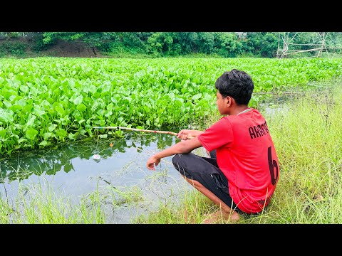 Best Fishing Videos🎣🐟 2025 || Village Small Boy Catch Fish By Fish Hook From Village River #Amazing
