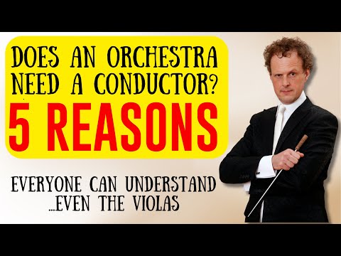 Does an orchestra need a conductor 5 REASONS everyone can understand...even the violas 🤣