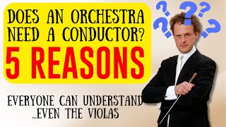 Does an orchestra need a conductor 5 REASONS everyone can understand...even the violas 🤣