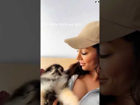 Dogs are the best students #funny #haaha #funnypet #youtube #animals #cutedog #funnydog