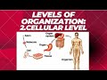 Cell Functions and Types Assessment