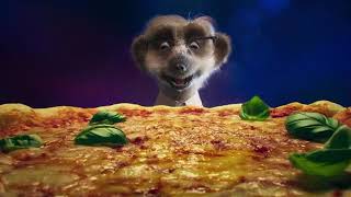 Compare the Meerkat - Advert 125