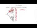 Probability and Tree Diagrams