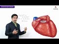 Coronary Artery Function and Pathology