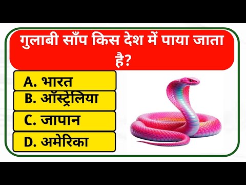 Gk Questions || GK in Hindi || Gk Questions And Answers || Gk Quiz || General knowledge