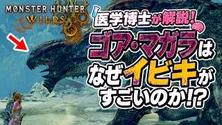 【モンハンワイルズ】ゴアマガラのいびきを医学博士が分析したら、悲劇的な進化の歴史がわかった！  #モンハンワイルズ #モンスターハンターワイルズ #天使玉ちゃん