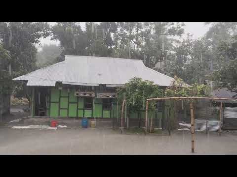 "বৃষ্টিভেজা গ্রামের সকাল — প্রকৃতির কোলে এক শান্তিময় শুরু"