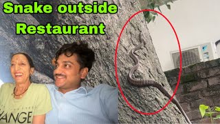 Udhampur Restaurant ke bahar diye Naag Devta ne Darshan || Vlog