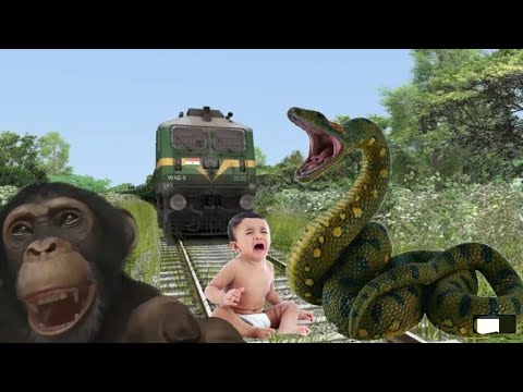 ANACONDA AND NAGIN STOPS THE TRAIN AT UNMANNED LEVEL CROSSING IN INDIAN TRAIN SIMULATOR