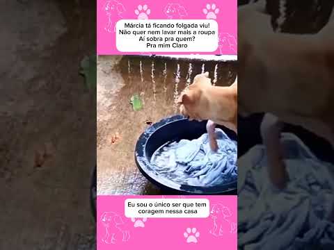 Sobrou pra mim #animaisengracados #pets #humor #petsengracados #gatos #cachorro #comedia