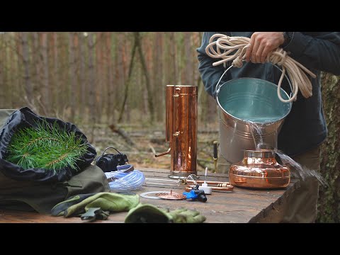 Extracting essential oil from a pine tree in the woods, no talking