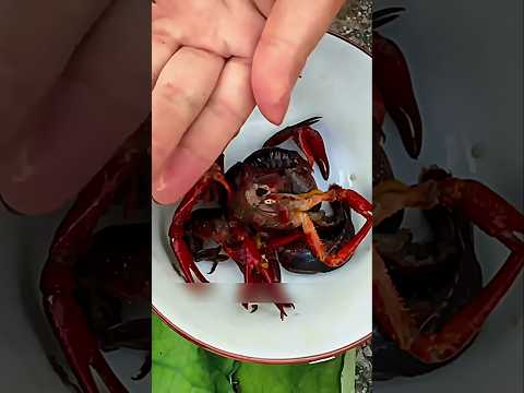Cara bersihkan udang sebelum diolah