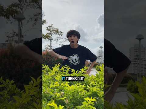 He Thought the Bush Was Magicโฆ But Watch ๐จ