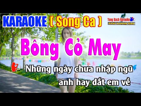 Karaoke Bông Cỏ May Song Ca | Nhạc Sống Tùng Bách