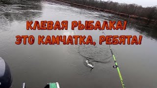 видео