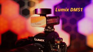 The Lumix DMS1 You Were Waiting For
