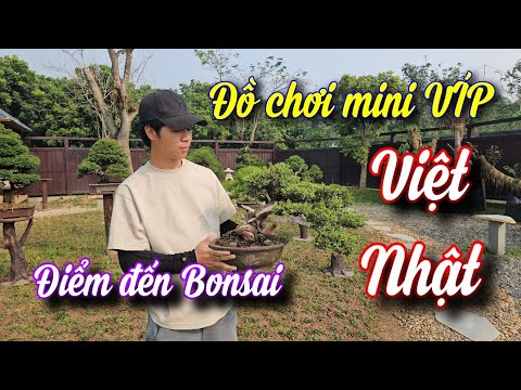 SH.9661. Anh em cháu lên ý tưởng trưng bày kết nối BONSAI VIỆT NHẬT HÀNG NHỎ MỊN mong Anh em ủng hộ