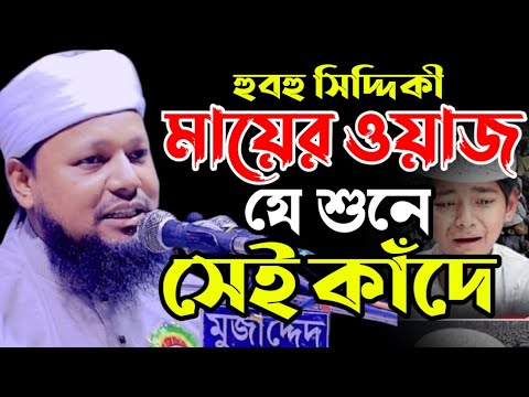 এই সেই ভাইরাল ওয়াজ| মায়ের হৃদয় বিদারক ঘটনা |  মাওলানা সোহাইল আহমদ সিদ্দিকি।