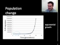 Population Dynamics and Growth Factors