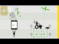 Precision Agriculture Concepts and Benefits