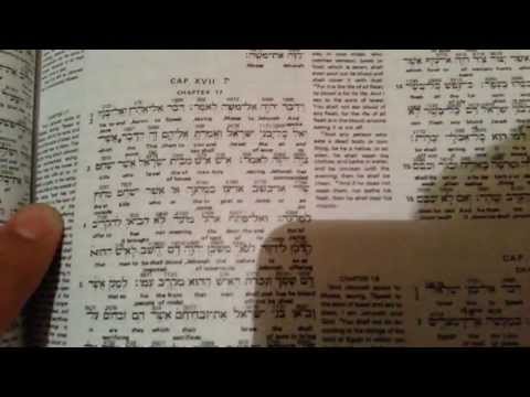 online greek interlinear bible niv