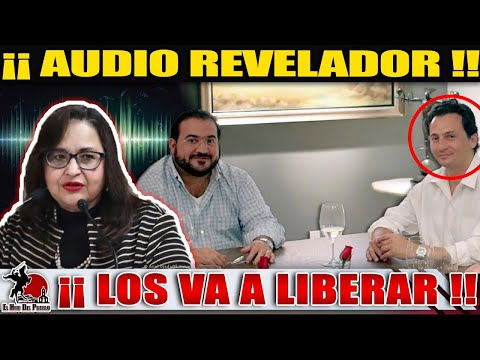 Se Filtra Audio De Ministra!! Liberará A Duarte Y A Lozoya Como Cuota Para Los Que La Manejan!!