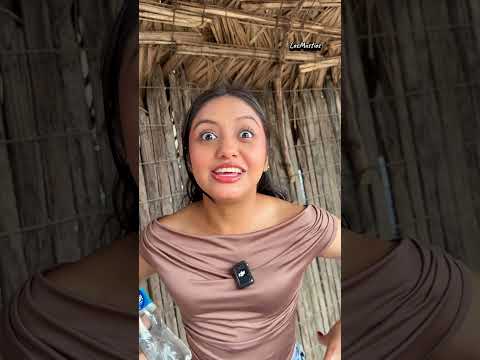 Cuando conoces a una tortuga grande 🤣