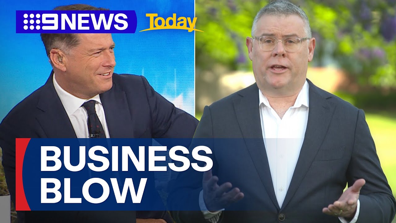 Albanese Government under fire over small business definition | 9 News Australia