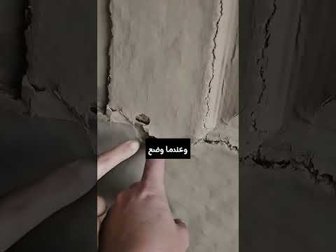 عندما وصل هؤلاء السائحون