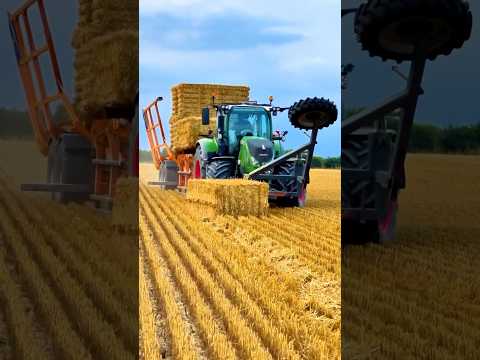 FENDT 724 Tractor Chasing Bales