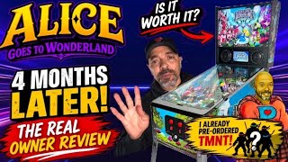 Alice Goes to Wonderland Pinball: 4 Months Later! Problems, Fixes, Mods & Is It Worth It?