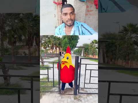 Anaya ke pichhe murga #funny #shorts