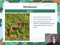 Animal Behavior and Habitats