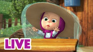 🔴 LIVE 🐻👧 Masha y el Oso 📺🐝 ¡Click y Pum! ¡Más Cartoon! 🎬 Masha and the Bear