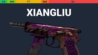 CZ75-Auto Xiangliu Wear Preview