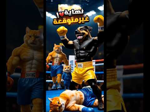 القط مشمش انهزم قدام ابنه مياو من الكلب شيتوس 🔥 لكن النهاية انتقام يهز العالم!😾#shorts #cats #ai