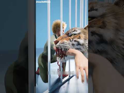 The tiger bit the boy's hand😱"#youtubeshorts