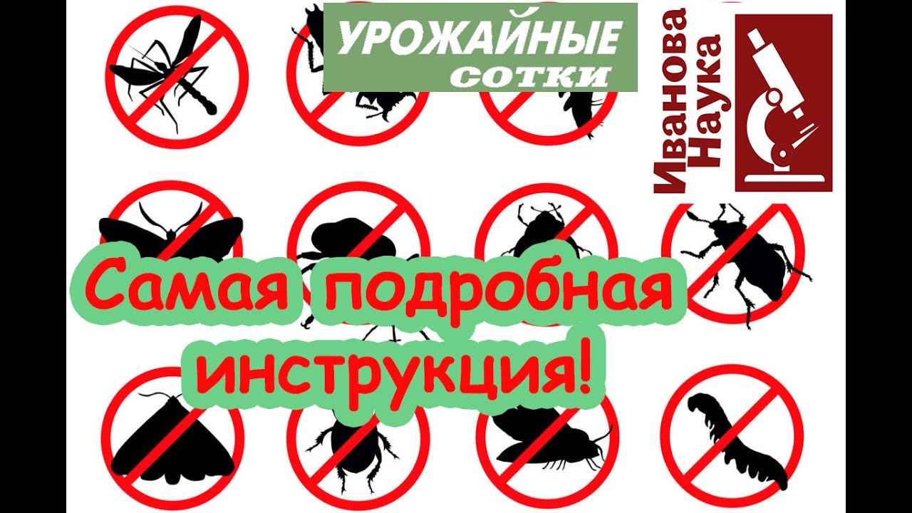 Популярное средство готовим своими руками. Безопасное избавление от колорадского жука и гусениц!