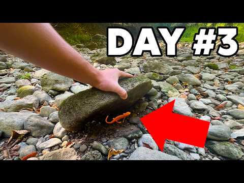 I Flipped a Rock and Found WHAT?!