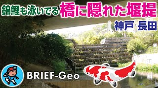 【BRIEF#15】錦鯉も泳いでる 〜 橋に隠れた堰提｜神戸 長田･鹿松