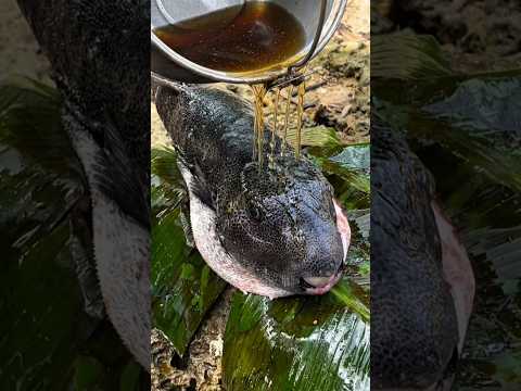 Momentos mais bizarros do mundo! #curiosidades #animais #bichos