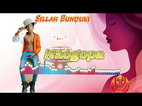 Dogo Sillah_ Naogopa_ (Official Audio)