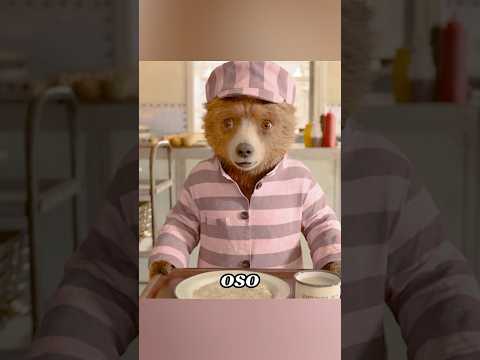 Este oso cambió toda la prisión. #shorts #tidal