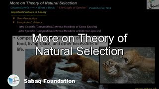 More on Theory of Natural Selection