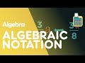 Algebraic Symbols and Operations