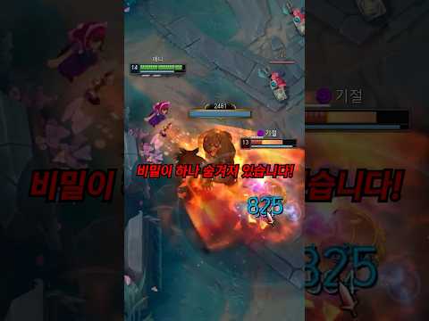 애니의 비밀