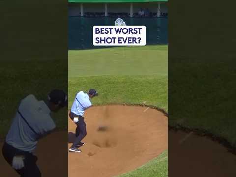 The best SHANK you’ve ever seen 😂