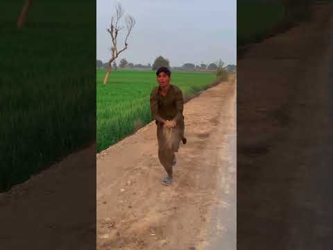 Allah ki madad car Waly ki help ki #ytshorts #trending #emotional